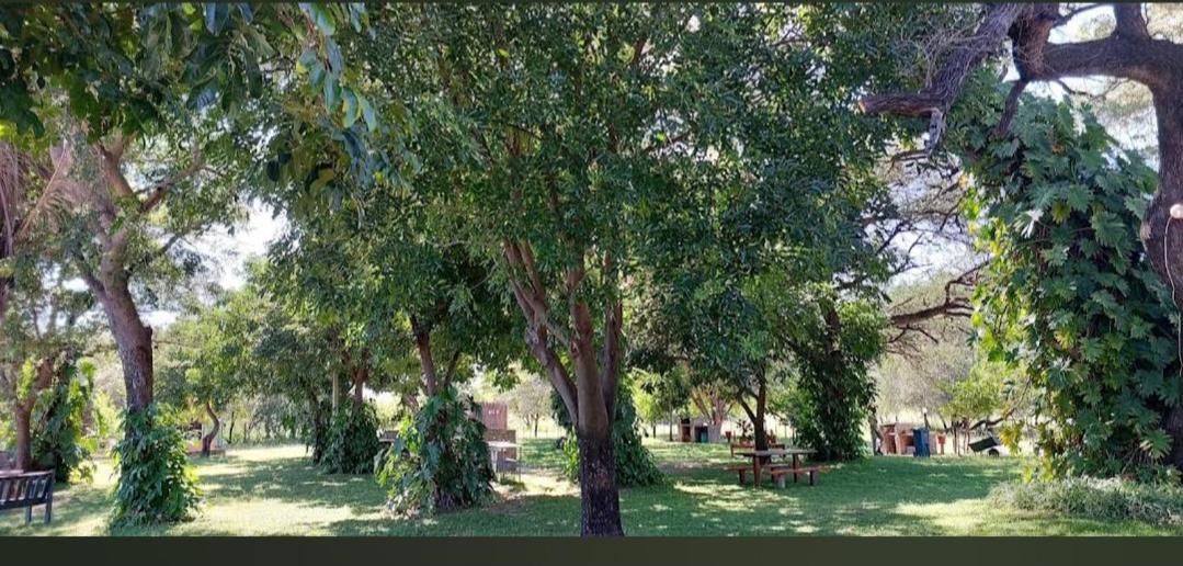 Camp Hogo Kavango ルンドゥ エクステリア 写真